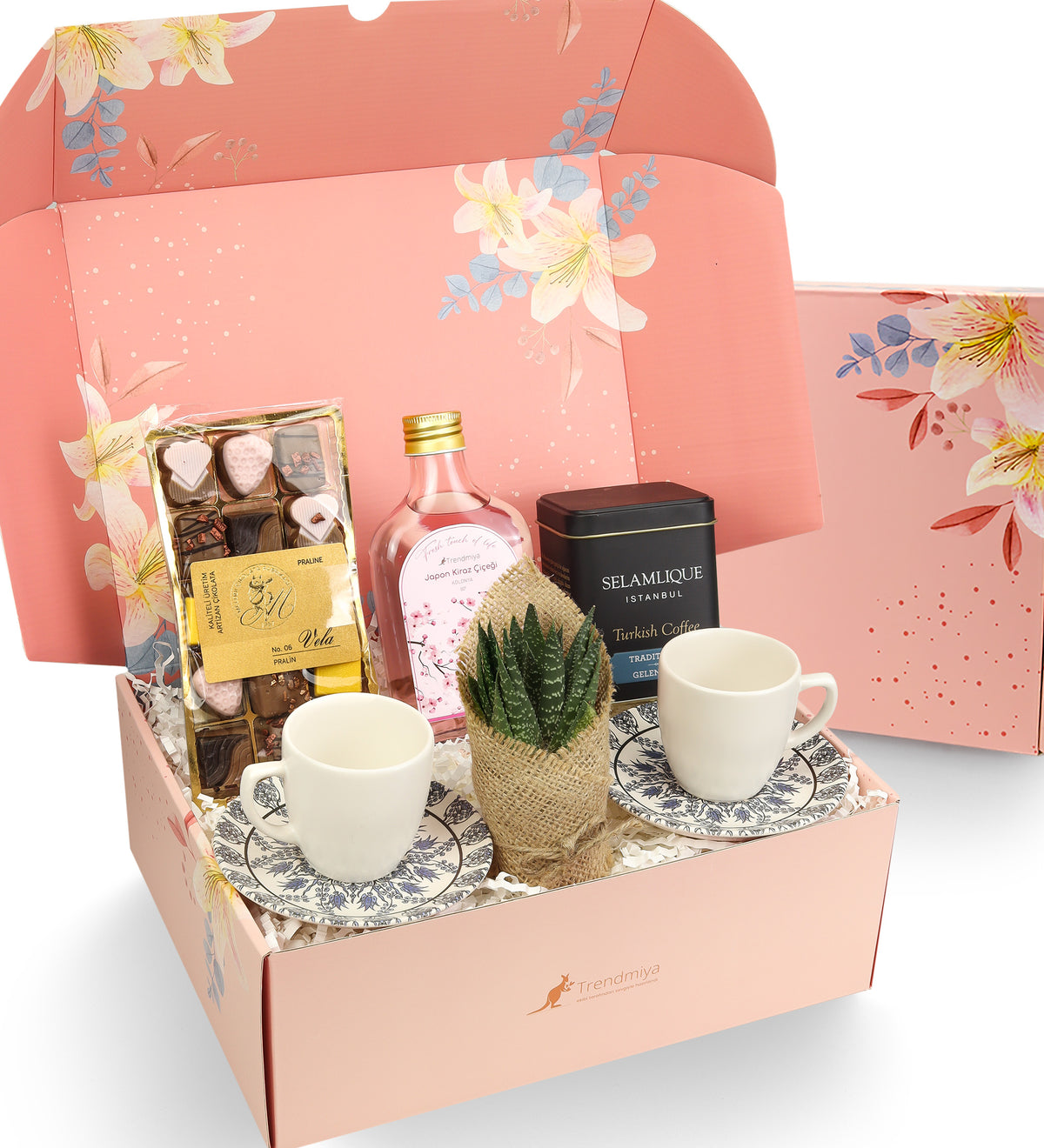 2li Fincan & Kolonya & Türk Kahvesi & Vela Çikolata & Canlı Sukulent Çiçek Hediye Seti