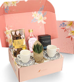 2li Fincan & Kolonya & Türk Kahvesi & Vela Çikolata & Canlı Sukulent Çiçek Hediye Seti