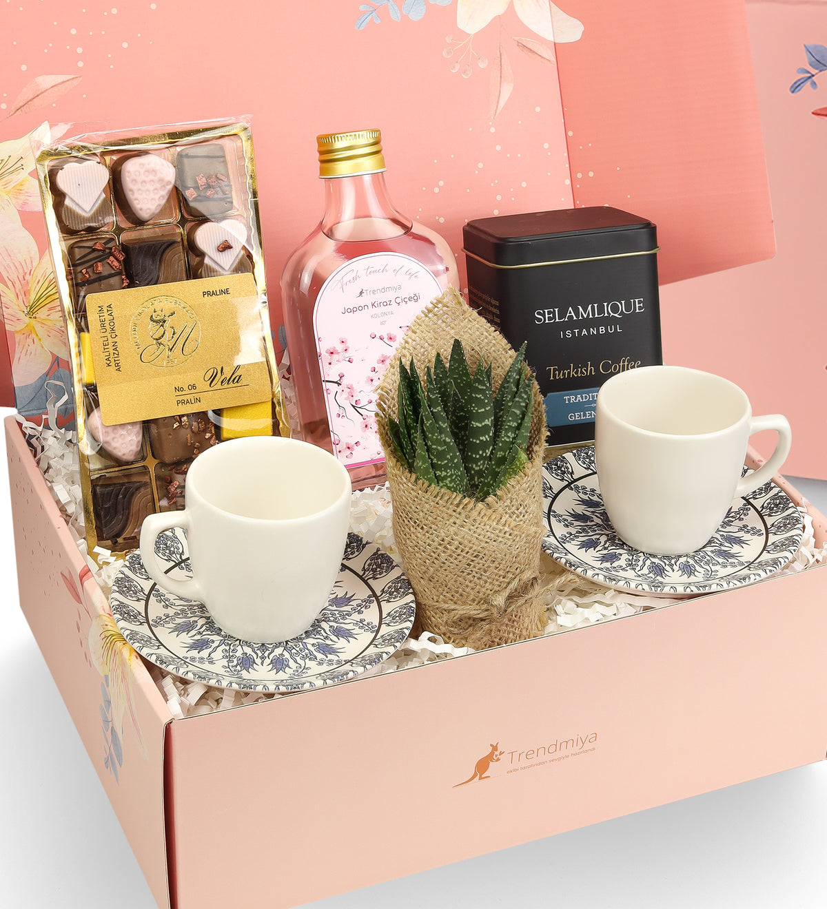 2li Fincan & Kolonya & Türk Kahvesi & Vela Çikolata & Canlı Sukulent Çiçek Hediye Seti
