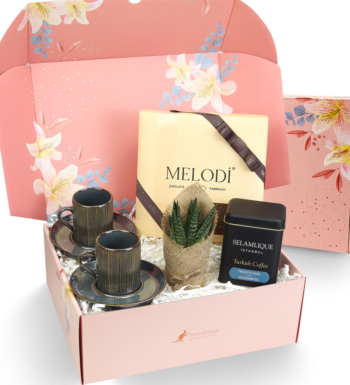2li Fincan & Melodi Çikolata & Türk Kahvesi& Canlı Sukulent Çiçek Hediye Seti