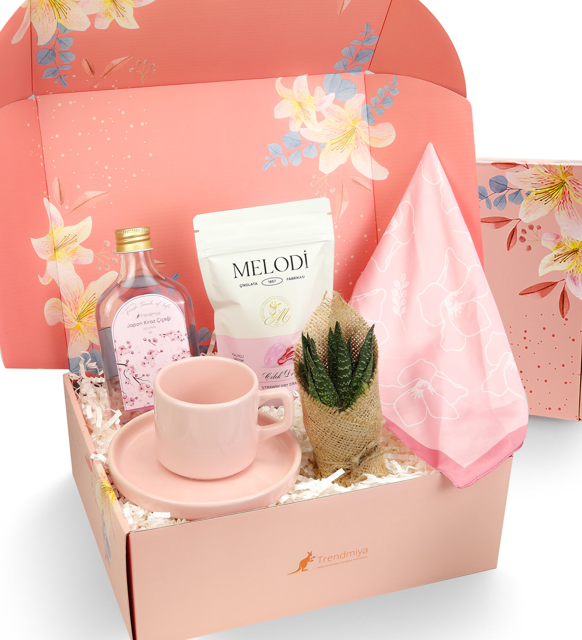Fincan & Kolonya & Canlı Sukulent Çiçek & Melodi Draje & Fular Hediye Seti
