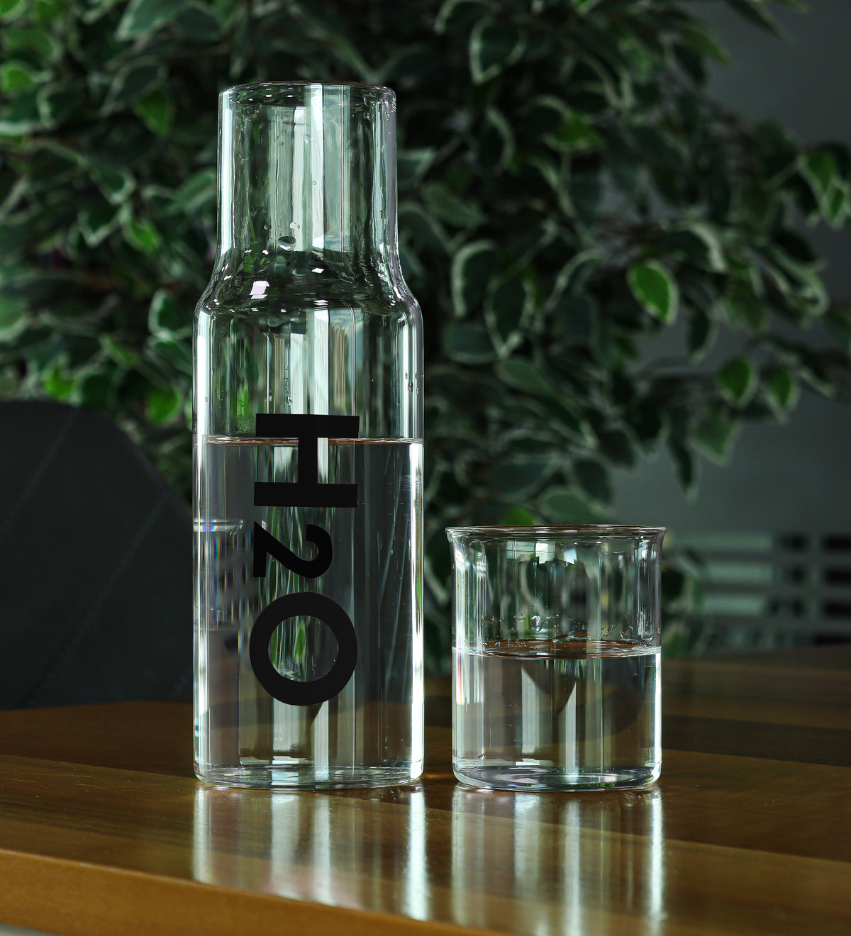 Bitki Çayı & Siyah Çay Fincanı & H2O Başucu Sürahisi & Bademli Kurabiye & Sukulent Hediye Seti