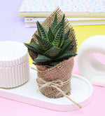 Doğum Günü Hediye Seti