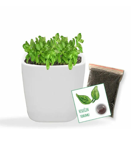 SuCo & Çanta & Tohumlu Tükenmez Kalem & Geri Dönüşüm Postit Kitap Ayracı & Bitki Dikim Kiti & Kupa Hediye Seti