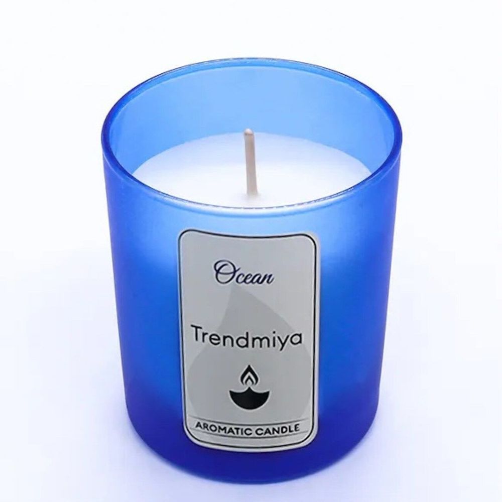 Kişiye Özel Mavi French Pressli Çelik Termos & Telefon Cepli Mavi Defter & Mavi Roller Kalem &Okyanus Kokulu Bardak Mum & Alerya Premium Filtre Kahve Hediye Seti