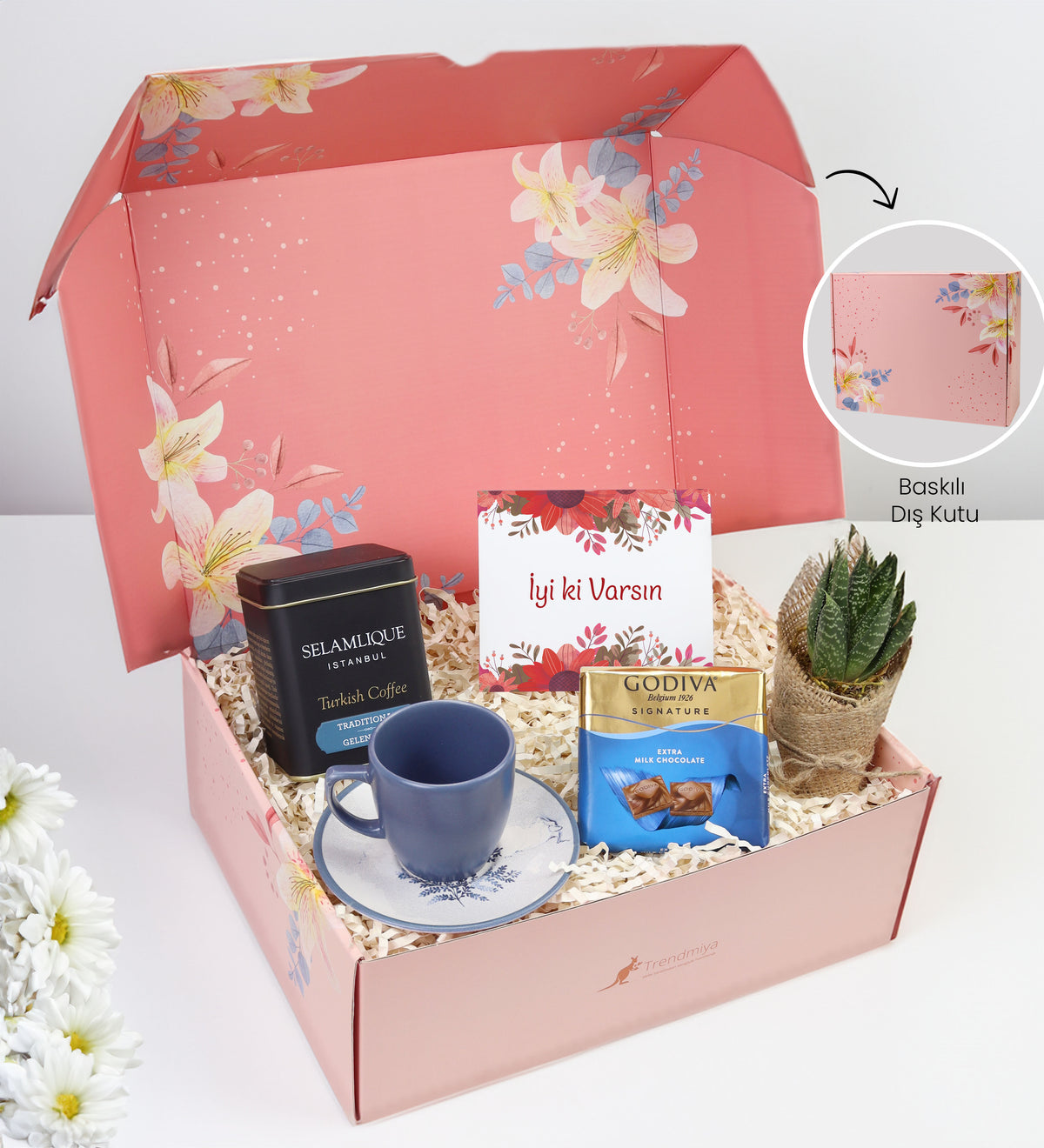 Mavi Türk Kahvesi Fincanı & Selamlıque Türk Kahvesi & Canlı Sukulent Çiçek & Godiva Çikolata