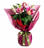 Pembe Lilyum Bitkisi