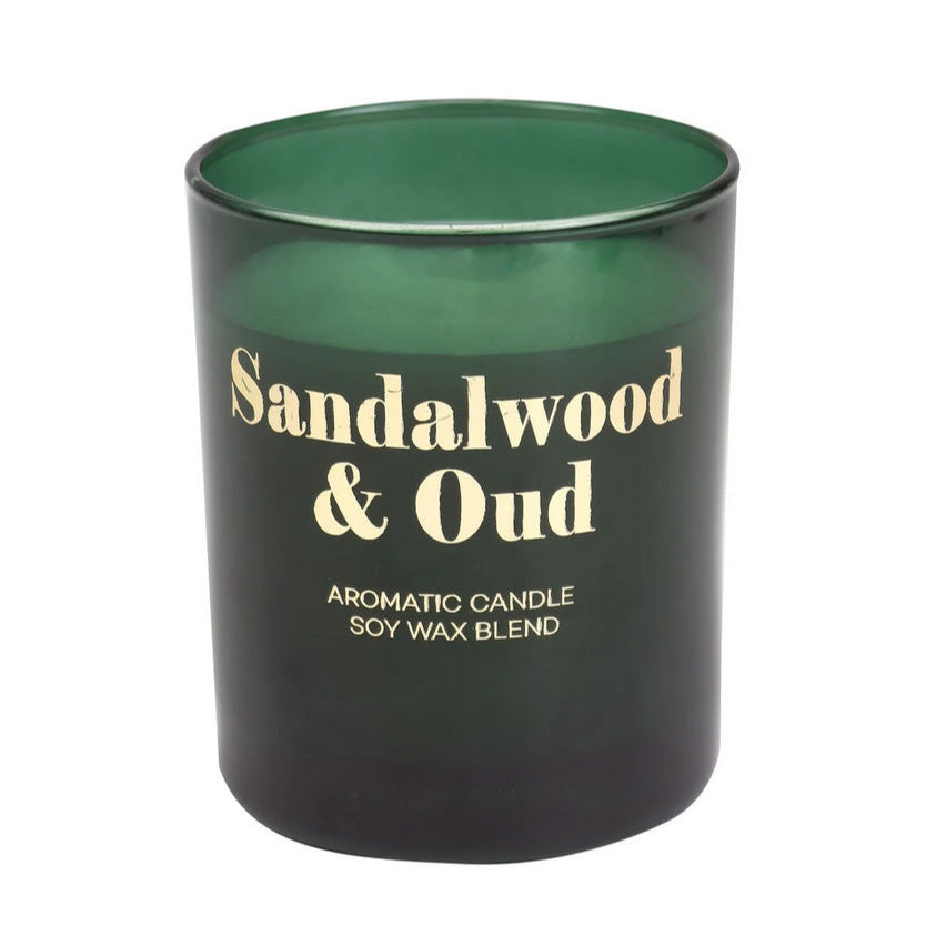 Canlı Sukulent Çiçek & Türk Kahvesi & Fincan & Mum & Şal Hediye Seti