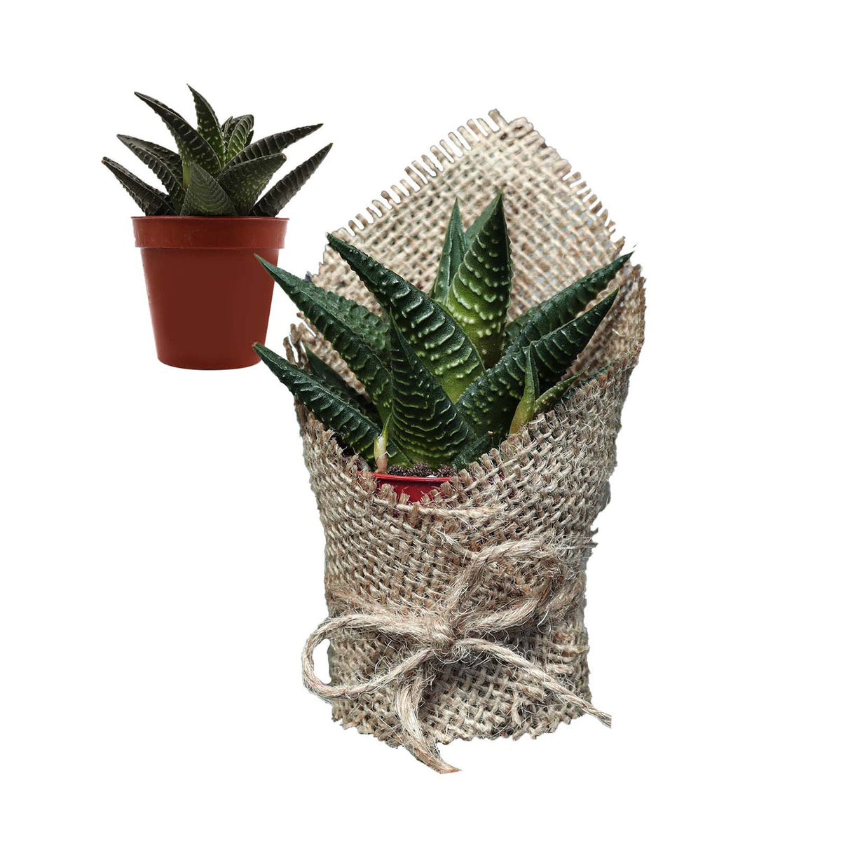 Mutlu Bayramlar Hediye Seti