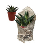 Mutlu Bayramlar Hediye Seti