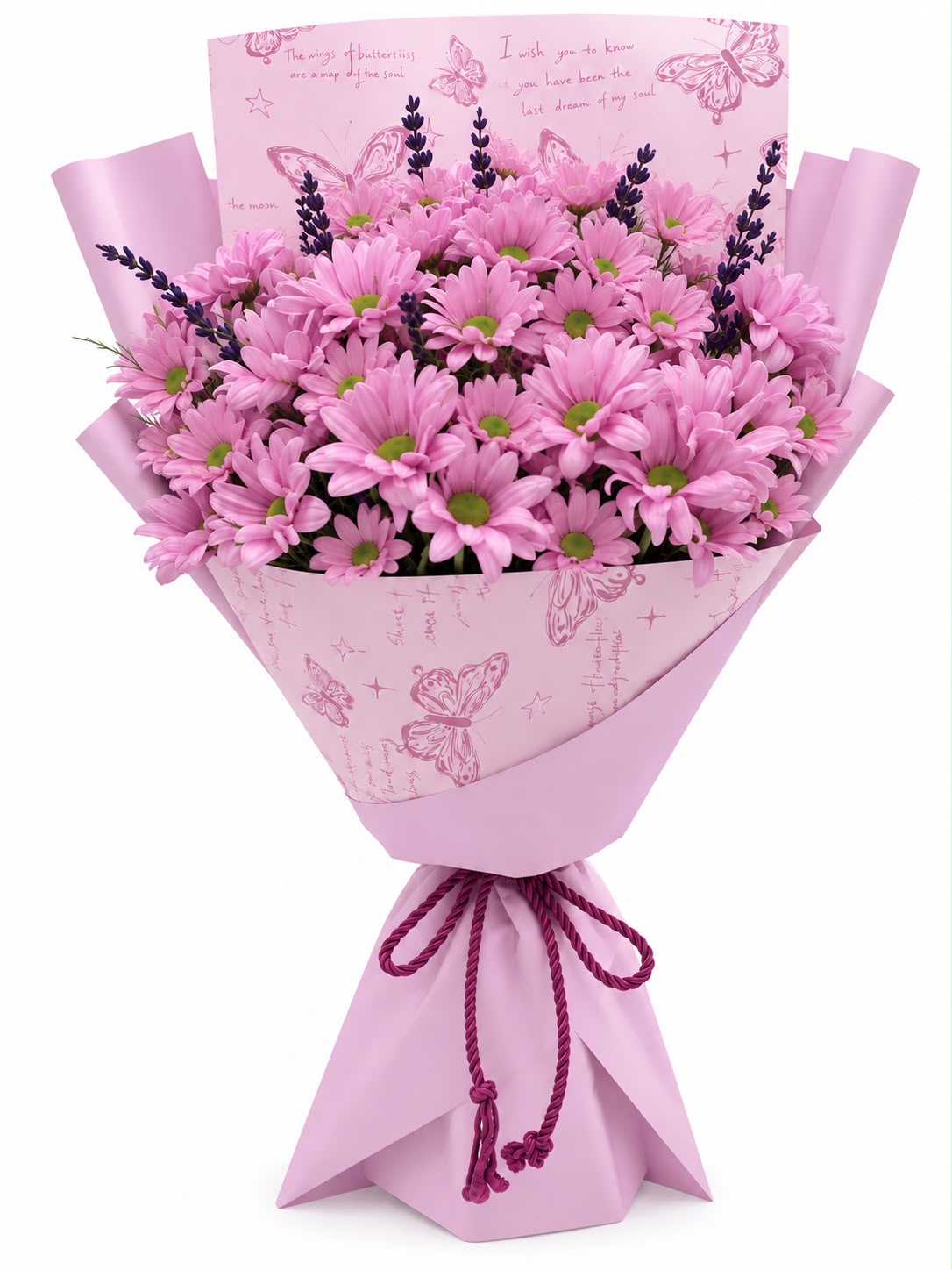 Pembe Kelebek Papatya