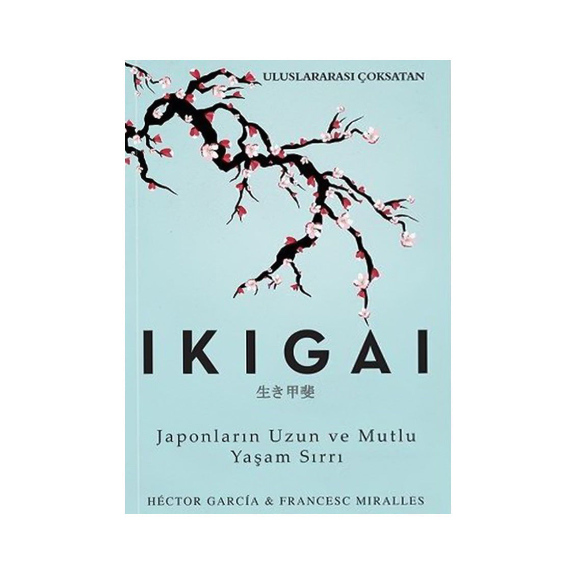 Ikigai