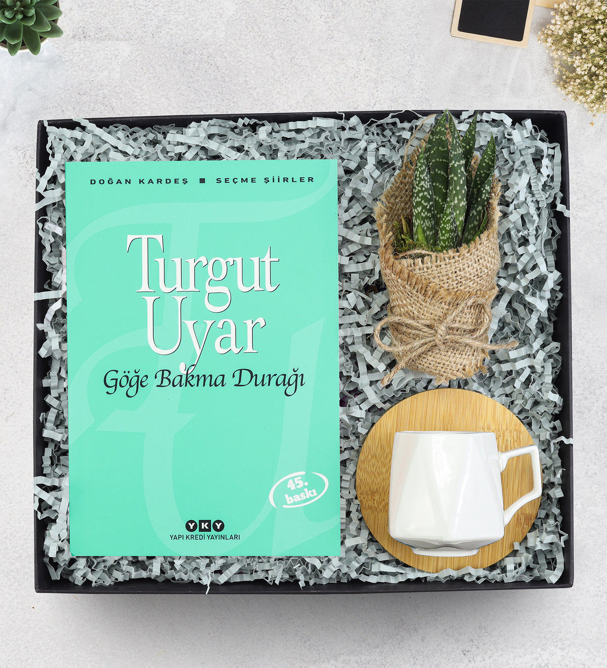 Kitap & Bambu Tabaklı Beyaz Porselen Fincan & Sukulent Çiçek Hediye Seti