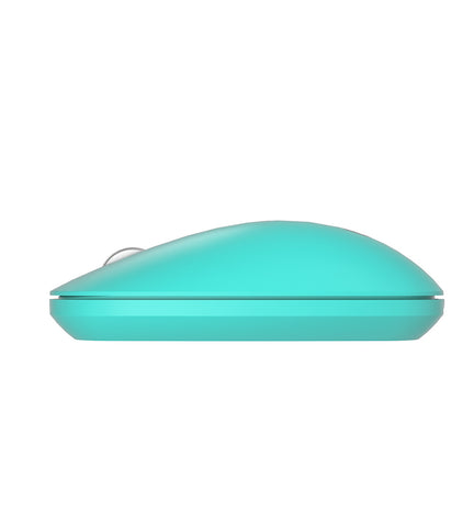 Lecoo WS214 Kablosuz Optik Mouse Turkuaz