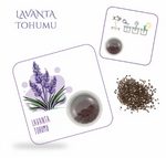 Lavanta Tohumu