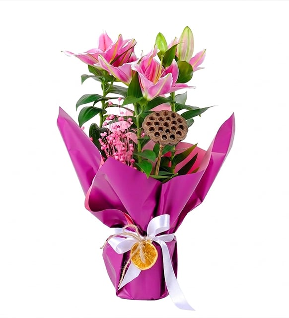 Deluxe Saksı Lilyum