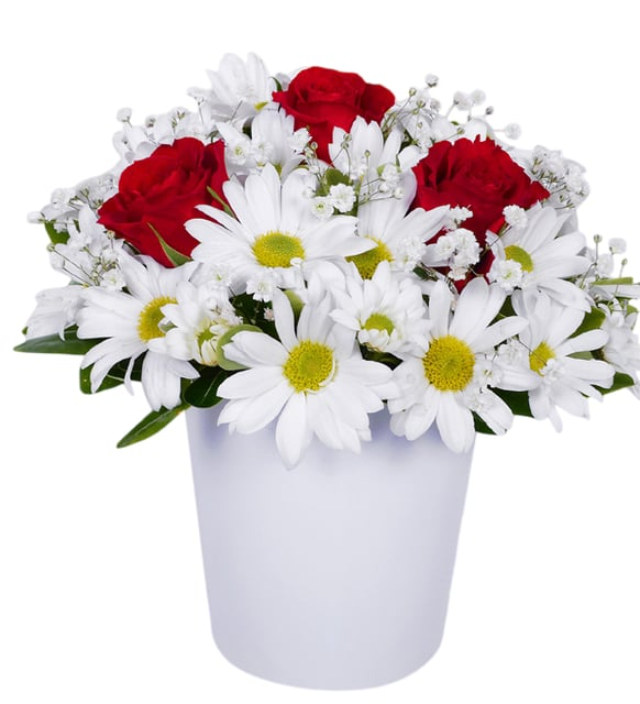 Papatya ve 3 Kırmızı Gül Tasarımı