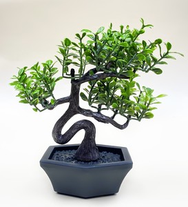 Kişiye Özel Harf Baskılı Fincan & Siyah Çerçeve & Yapay Mini Ağaç Hediye Seti #2